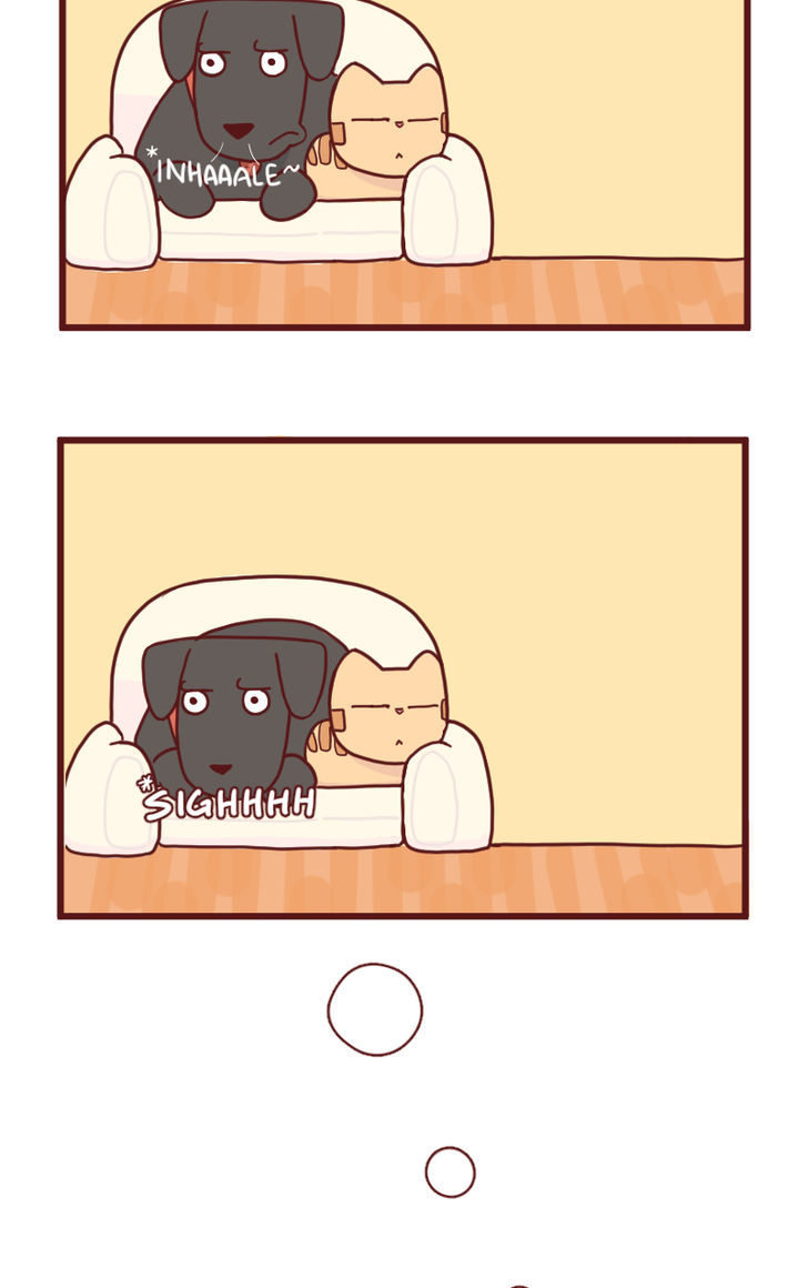 Saphie: The One-Eyed Cat Chapter 15 page 6 - Chapter 15 : Ol' Friend