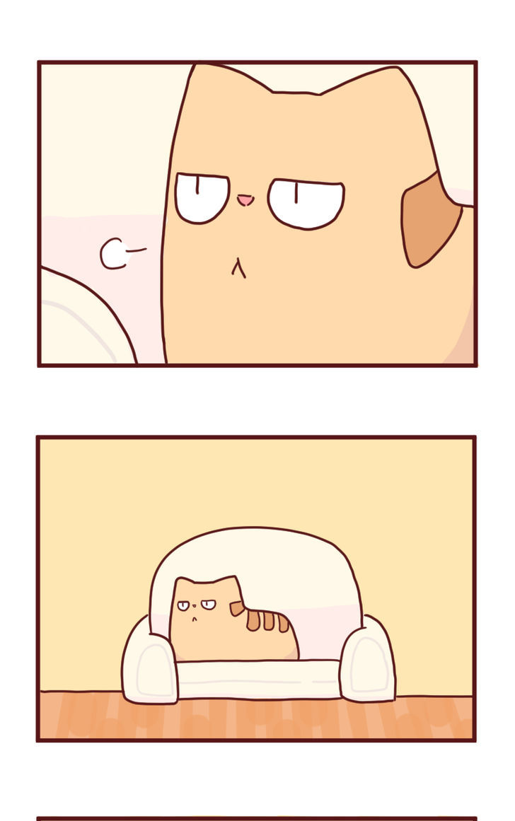Saphie: The One-Eyed Cat Chapter 15 page 8 - Chapter 15 : Ol' Friend