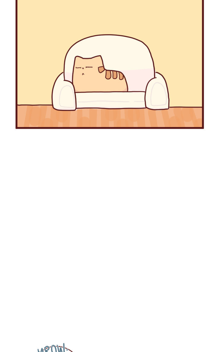 Saphie: The One-Eyed Cat Chapter 15 page 9 - Chapter 15 : Ol' Friend
