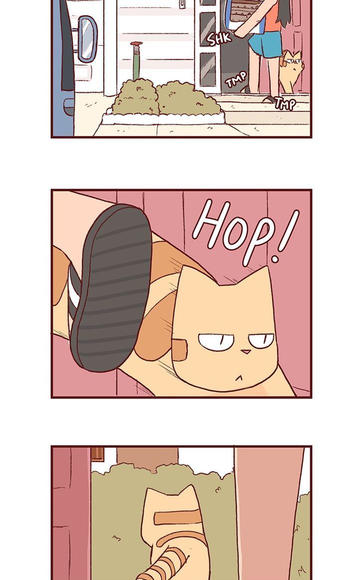 Saphie: The One-Eyed Cat Chapter 150 page 2 - Chapter 150