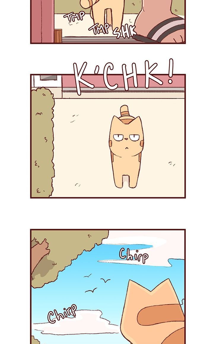 Saphie: The One-Eyed Cat Chapter 150 page 3 - Chapter 150
