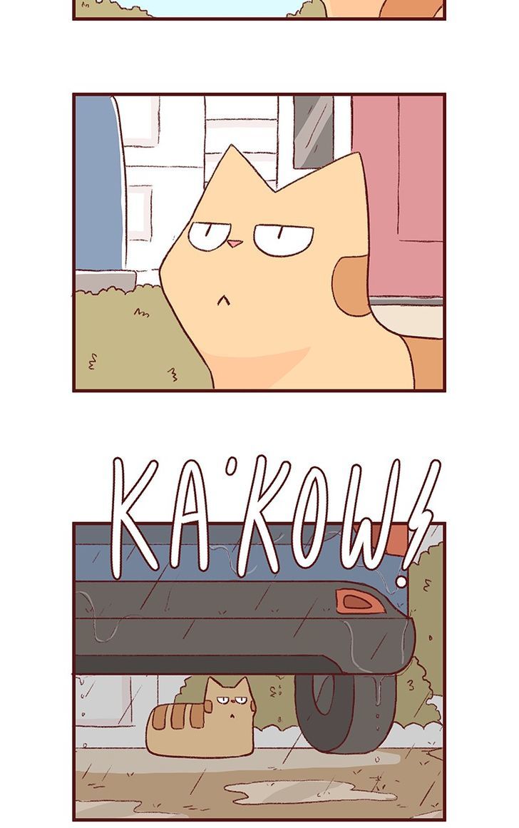 Saphie: The One-Eyed Cat Chapter 150 page 4 - Chapter 150