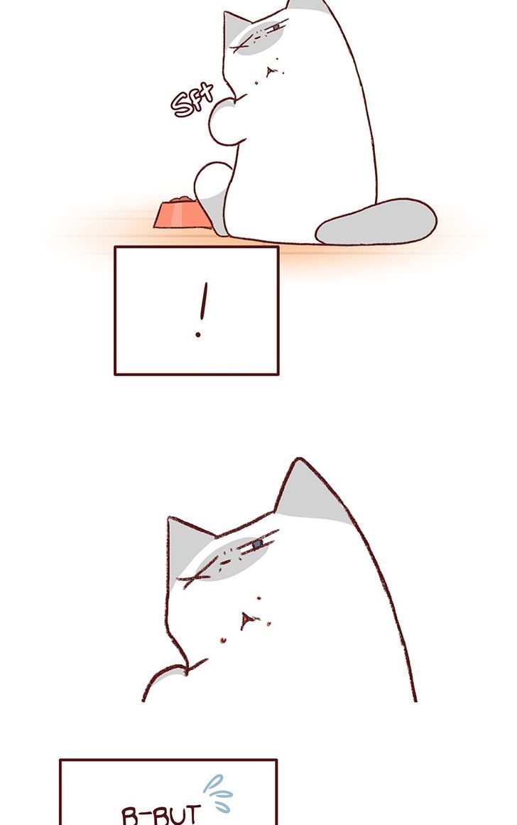 Saphie: The One-Eyed Cat Chapter 151 page 6 - Chapter 151