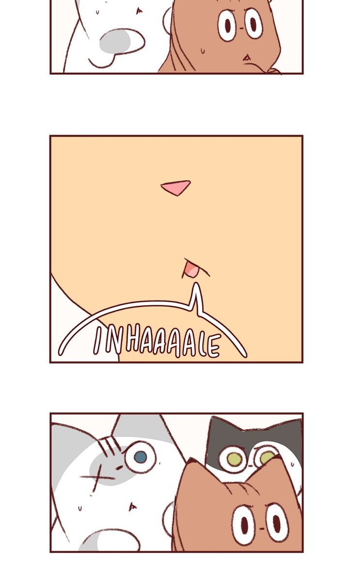 Saphie: The One-Eyed Cat Chapter 153 page 11 - Chapter 153