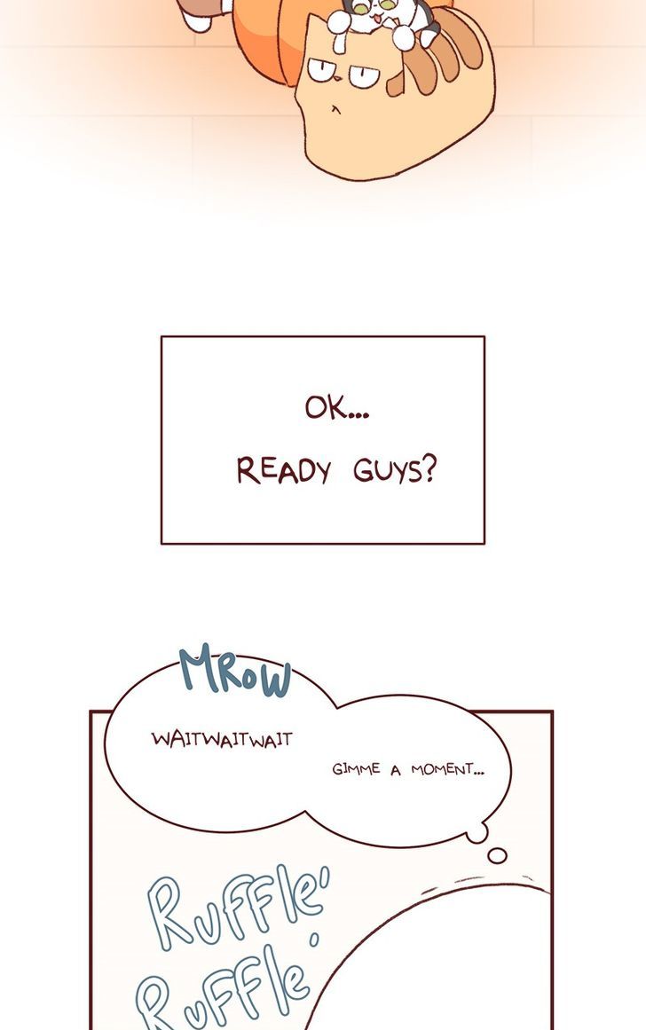 Saphie: The One-Eyed Cat Chapter 153 page 4 - Chapter 153