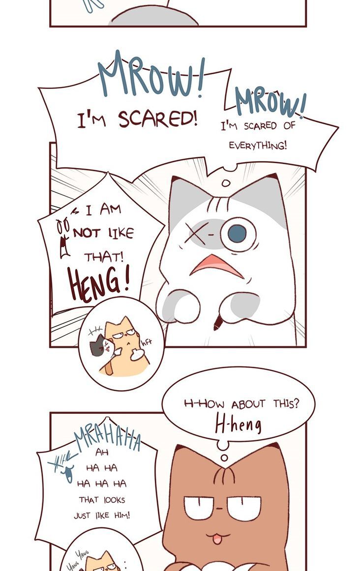 Saphie: The One-Eyed Cat Chapter 153 page 5 - Chapter 153