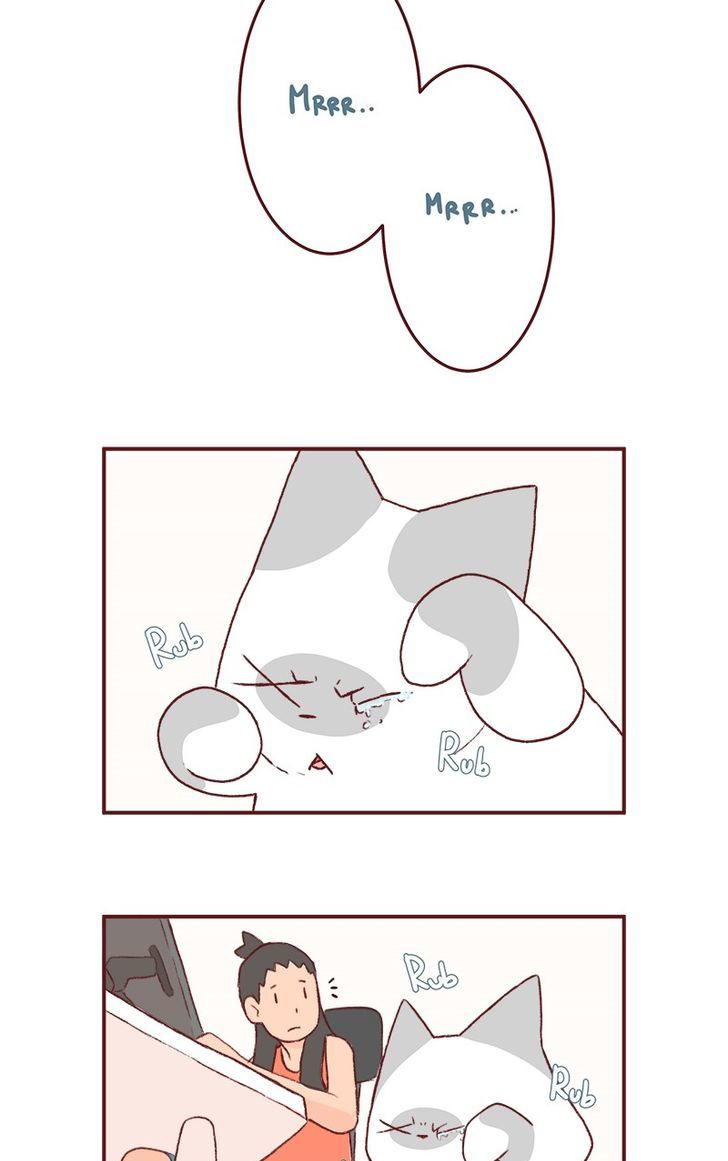 Saphie: The One-Eyed Cat Chapter 154 page 2 - Chapter 154