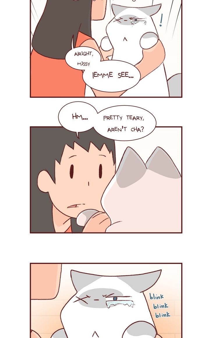Saphie: The One-Eyed Cat Chapter 154 page 4 - Chapter 154