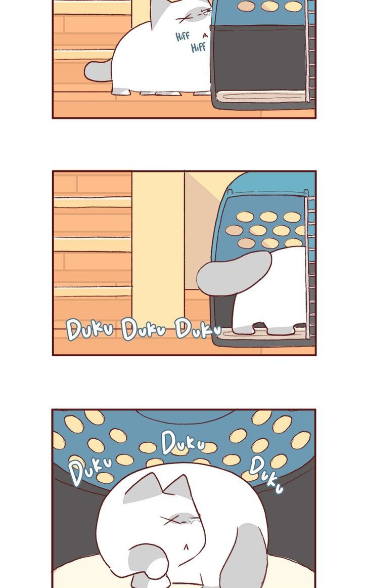 Saphie: The One-Eyed Cat Chapter 155 page 3 - Chapter 155