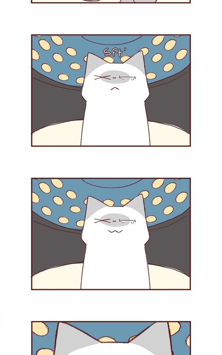 Saphie: The One-Eyed Cat Chapter 155 page 4 - Chapter 155