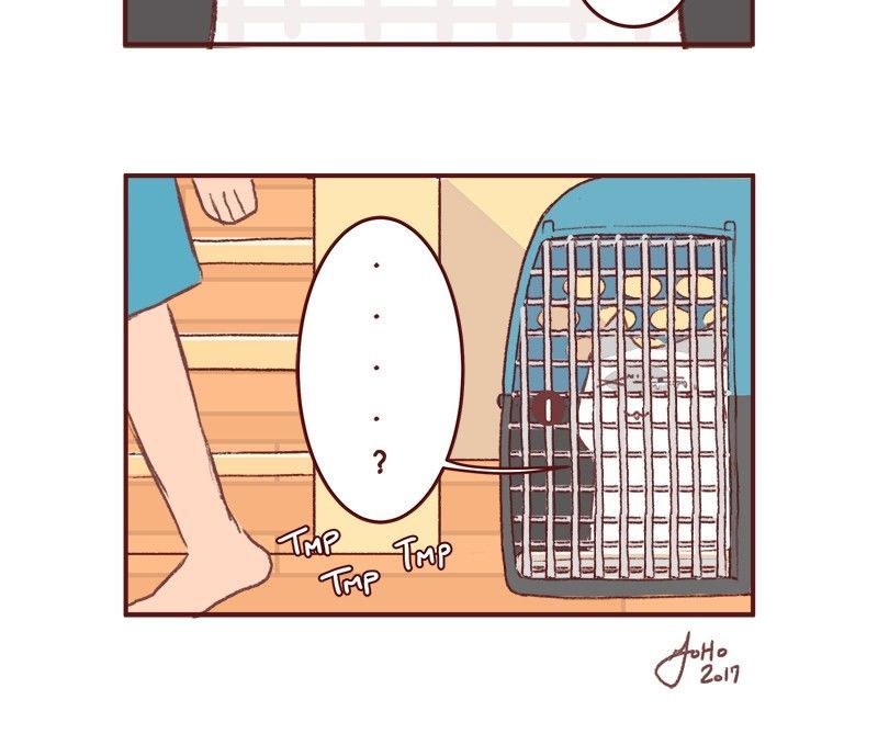 Saphie: The One-Eyed Cat Chapter 155 page 6 - Chapter 155