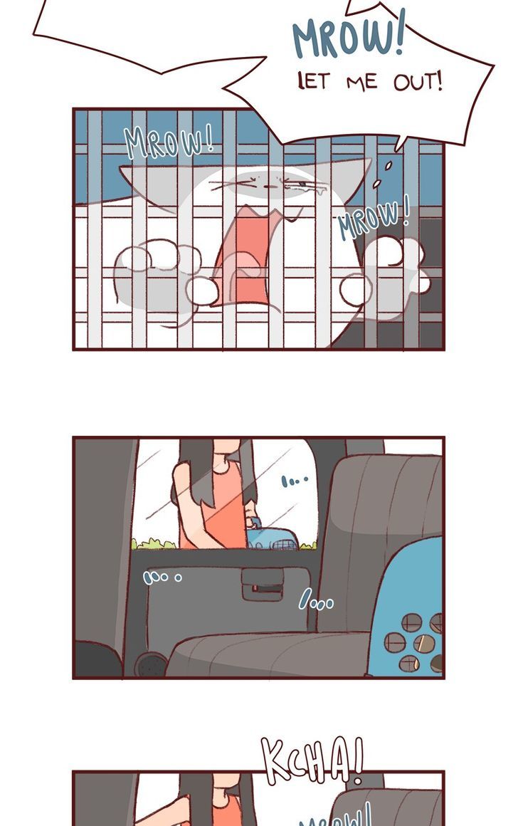 Saphie: The One-Eyed Cat Chapter 156 page 2 - Chapter 156