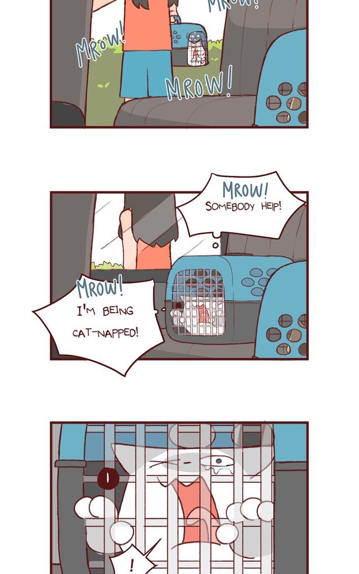 Saphie: The One-Eyed Cat Chapter 156 page 3 - Chapter 156