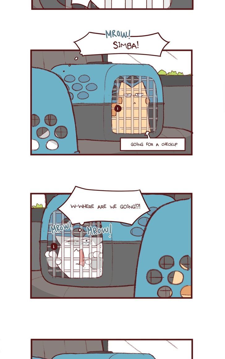Saphie: The One-Eyed Cat Chapter 156 page 4 - Chapter 156