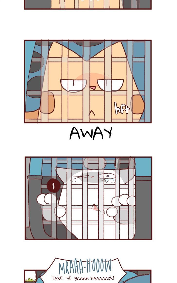 Saphie: The One-Eyed Cat Chapter 156 page 6 - Chapter 156