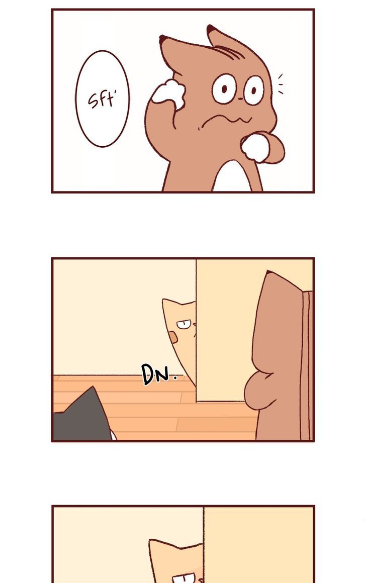 Saphie: The One-Eyed Cat Chapter 158 page 5 - Chapter 158