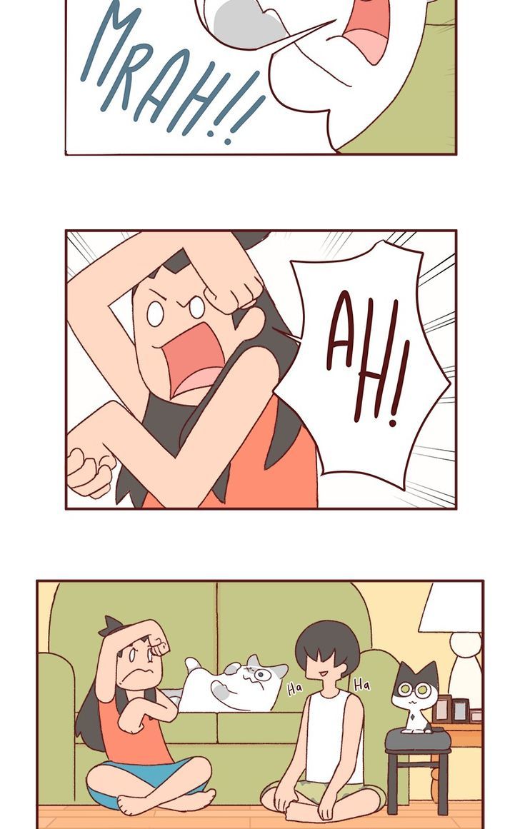 Saphie: The One-Eyed Cat Chapter 159 page 3 - Chapter 159