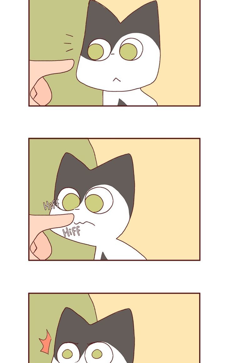 Saphie: The One-Eyed Cat Chapter 159 page 5 - Chapter 159