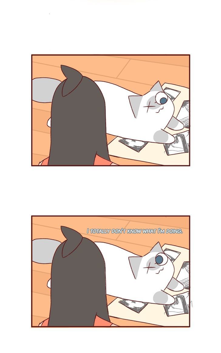 Saphie: The One-Eyed Cat Chapter 161 page 4 - Chapter 161