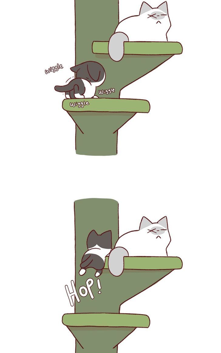 Saphie: The One-Eyed Cat Chapter 162 page 2 - Chapter 162