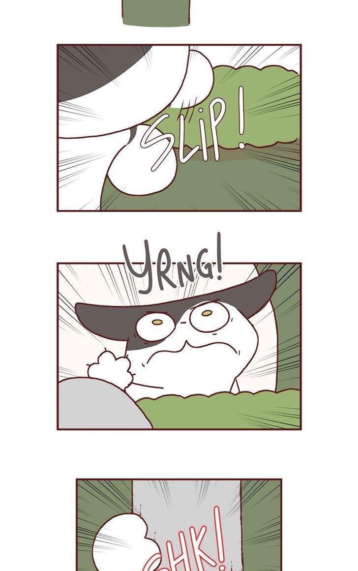 Saphie: The One-Eyed Cat Chapter 162 page 3 - Chapter 162