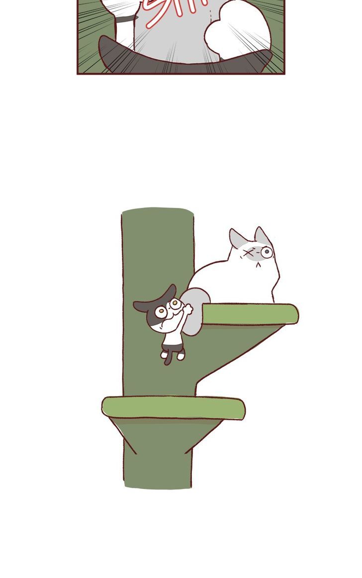 Saphie: The One-Eyed Cat Chapter 162 page 4 - Chapter 162