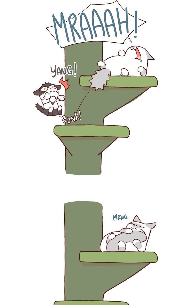 Saphie: The One-Eyed Cat Chapter 162 page 5 - Chapter 162
