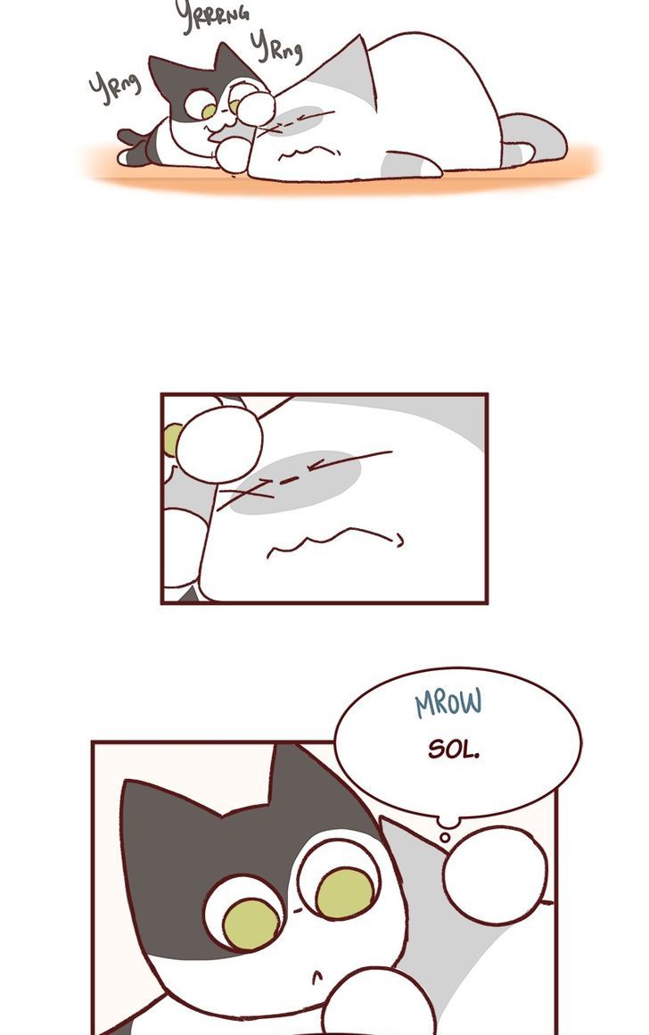 Saphie: The One-Eyed Cat Chapter 163 page 2 - Chapter 163