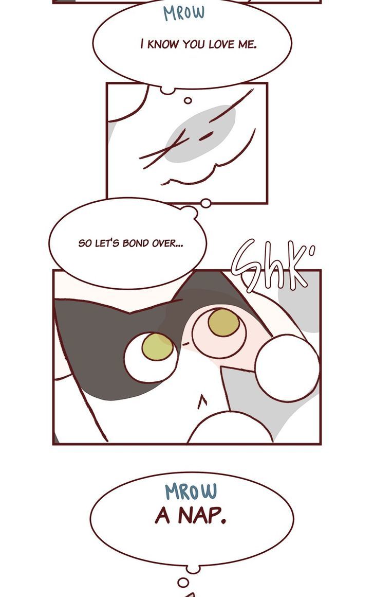 Saphie: The One-Eyed Cat Chapter 163 page 3 - Chapter 163