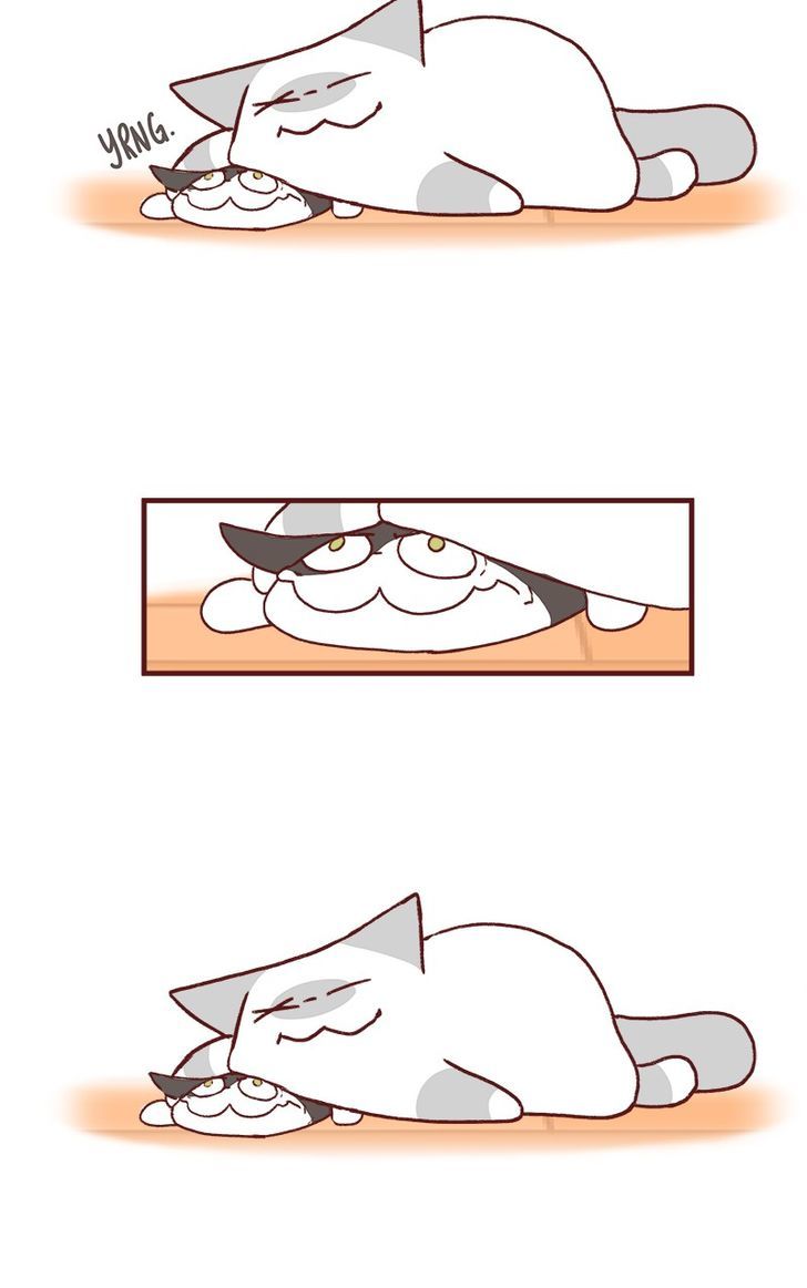 Saphie: The One-Eyed Cat Chapter 163 page 4 - Chapter 163