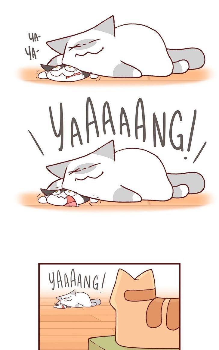 Saphie: The One-Eyed Cat Chapter 163 page 5 - Chapter 163
