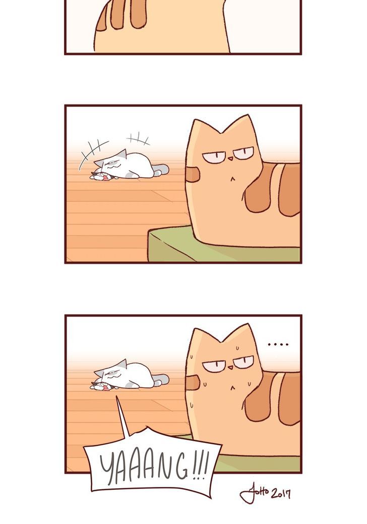 Saphie: The One-Eyed Cat Chapter 163 page 7 - Chapter 163