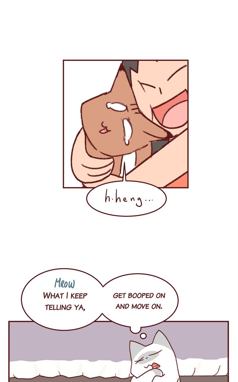 Saphie: The One-Eyed Cat Chapter 165 page 8 - Chapter 165