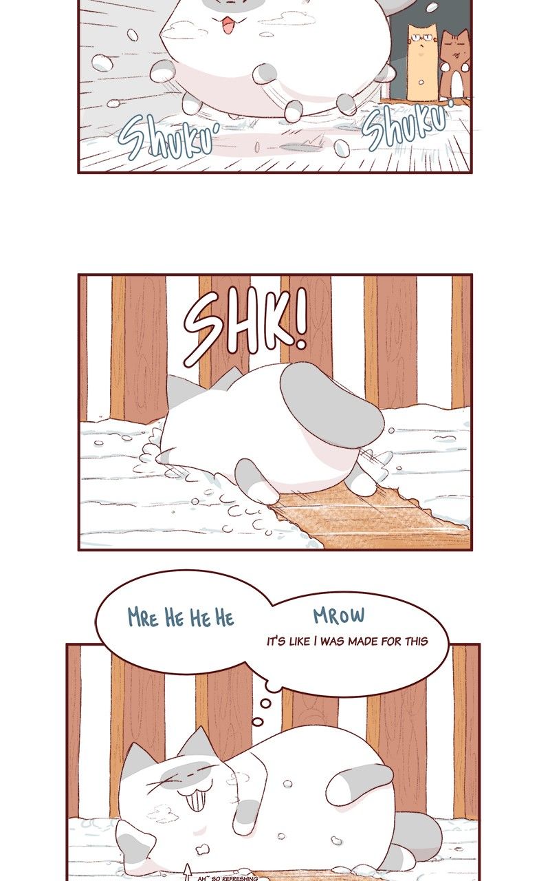 Saphie: The One-Eyed Cat Chapter 166 page 3 - Chapter 166