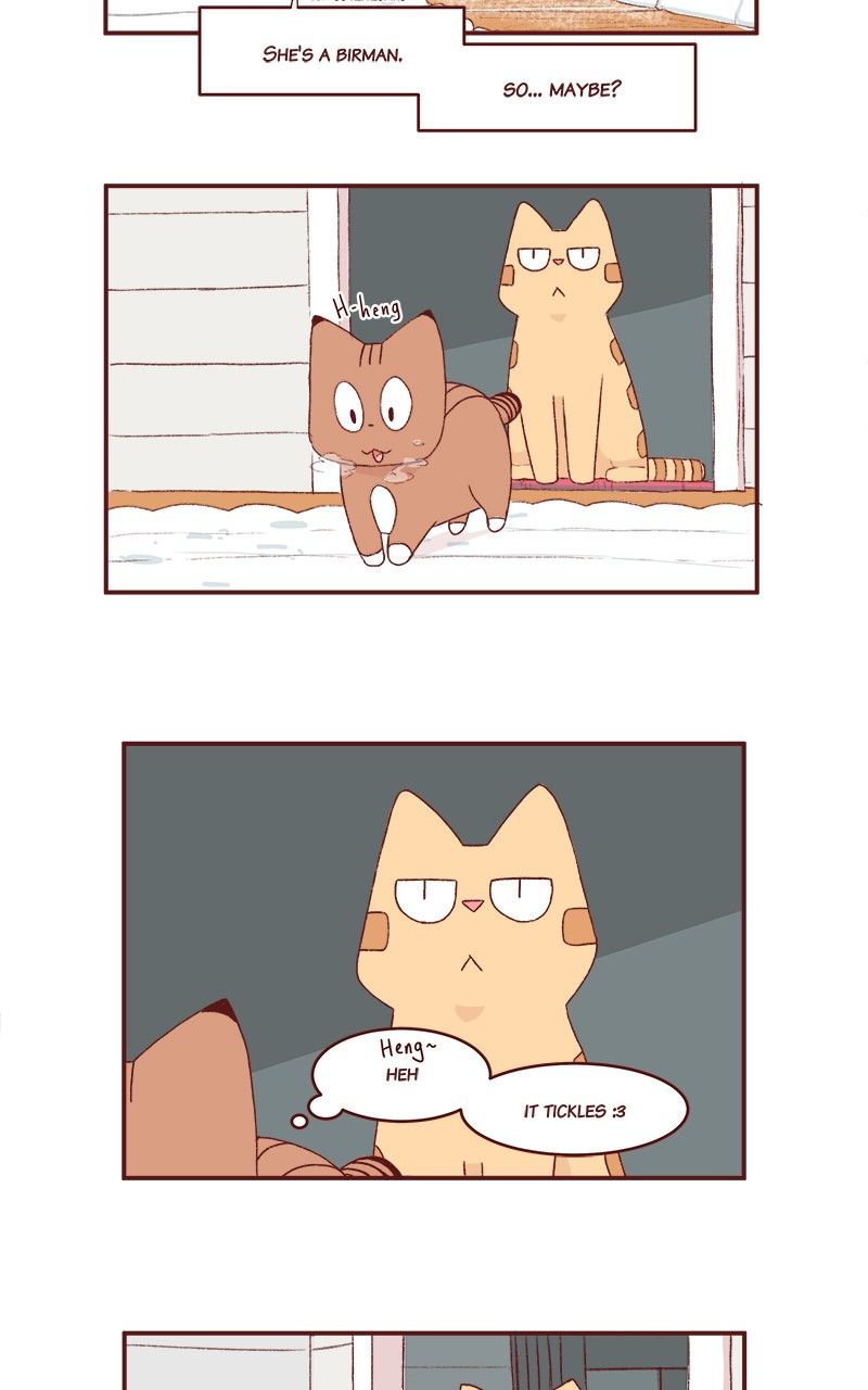 Saphie: The One-Eyed Cat Chapter 166 page 4 - Chapter 166