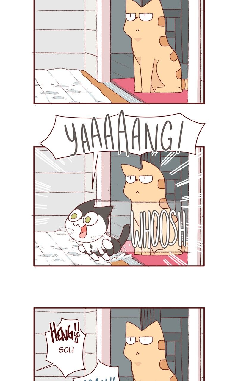 Saphie: The One-Eyed Cat Chapter 166 page 5 - Chapter 166