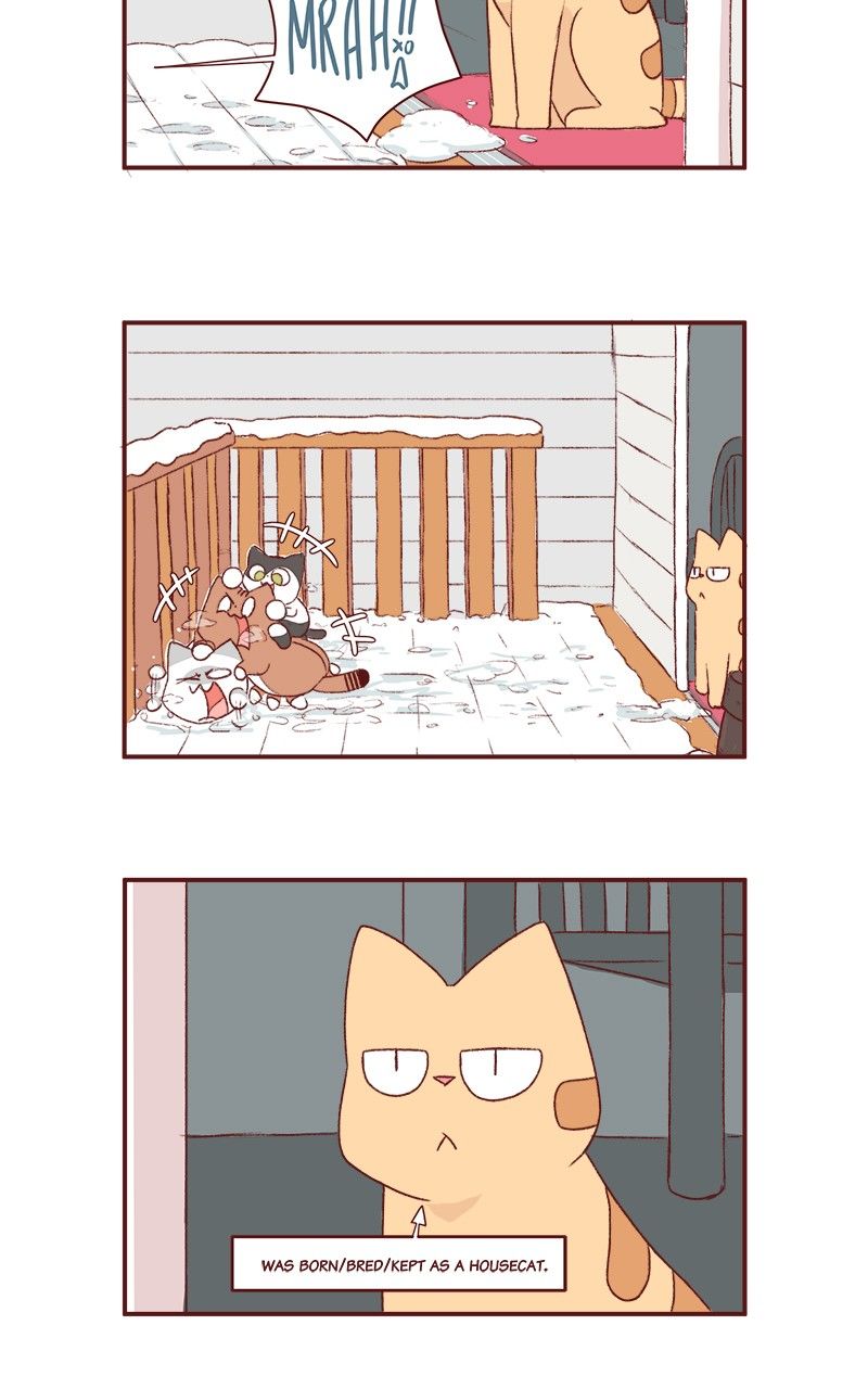 Saphie: The One-Eyed Cat Chapter 166 page 6 - Chapter 166