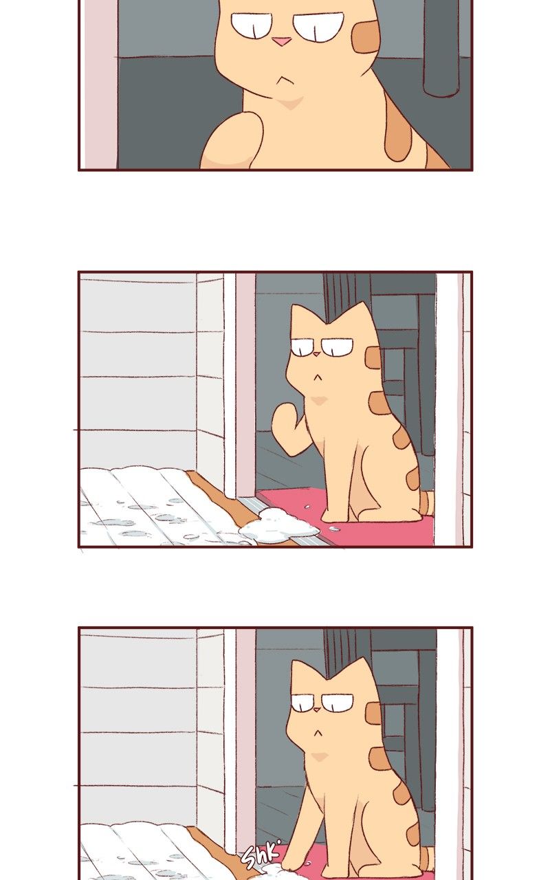 Saphie: The One-Eyed Cat Chapter 166 page 8 - Chapter 166
