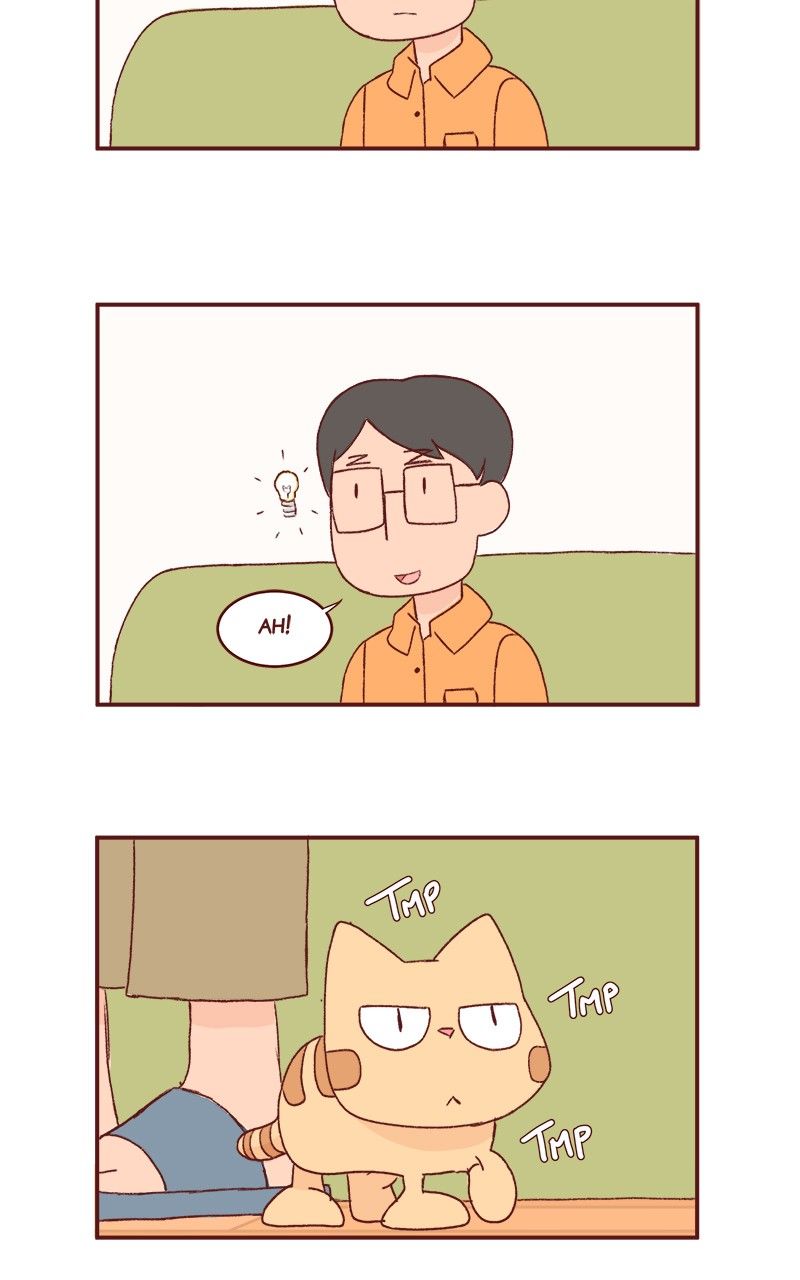 Saphie: The One-Eyed Cat Chapter 167 page 3 - Chapter 167