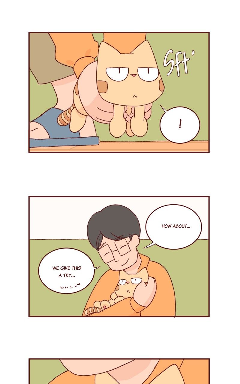 Saphie: The One-Eyed Cat Chapter 167 page 4 - Chapter 167