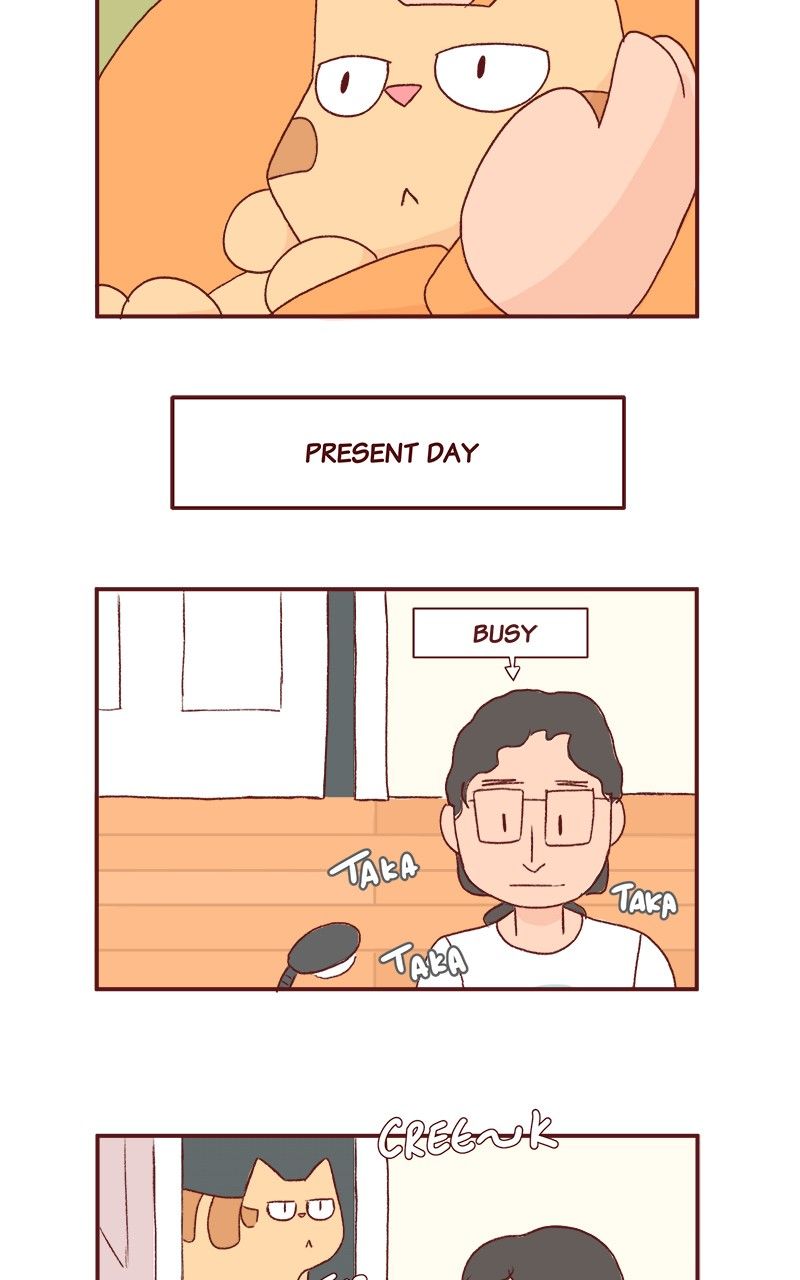 Saphie: The One-Eyed Cat Chapter 167 page 5 - Chapter 167