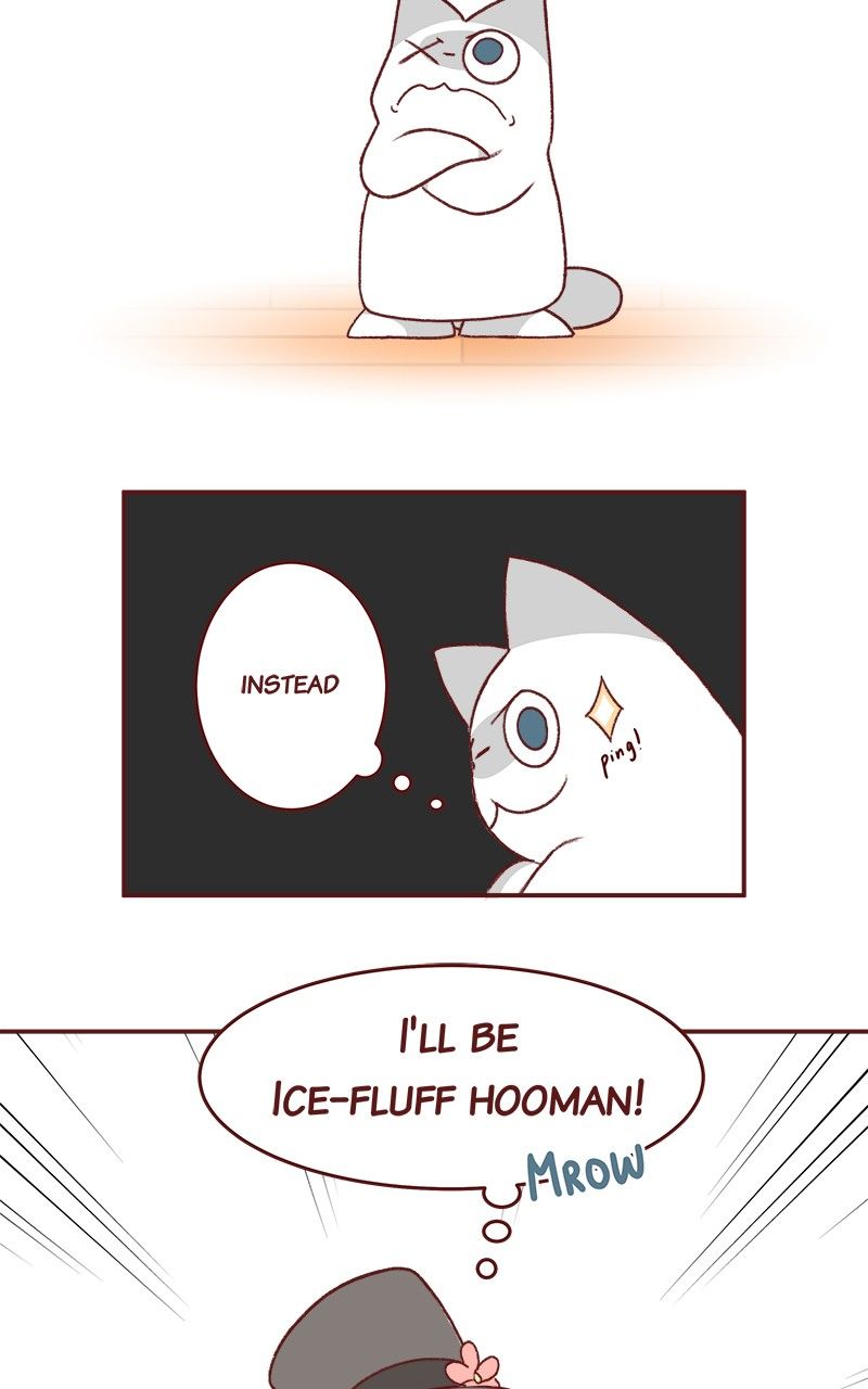 Saphie: The One-Eyed Cat Chapter 168 page 2 - Chapter 168