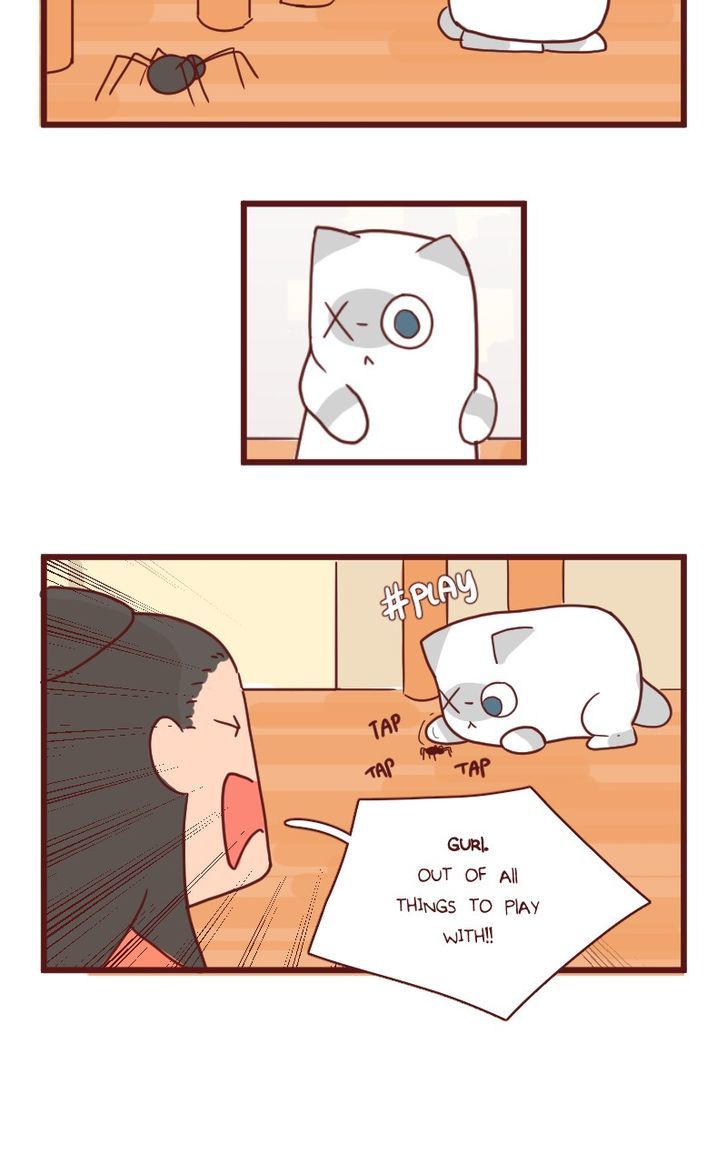 Saphie: The One-Eyed Cat Chapter 17 page 7 - Chapter 17 : Back-Up Exterminators