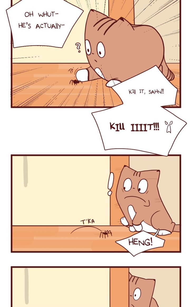 Saphie: The One-Eyed Cat Chapter 17 page 9 - Chapter 17 : Back-Up Exterminators