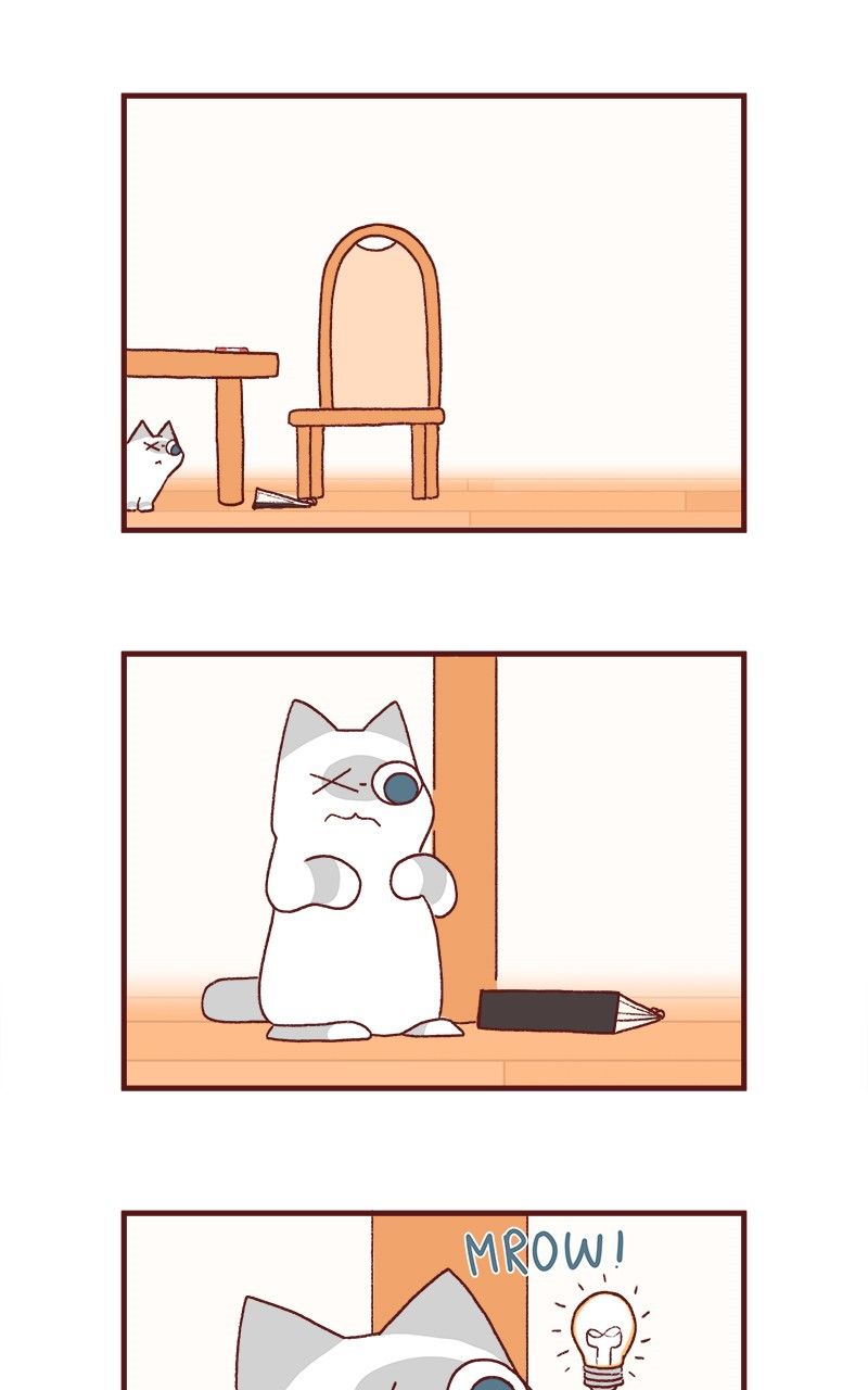 Saphie: The One-Eyed Cat Chapter 170 page 4 - Chapter 170