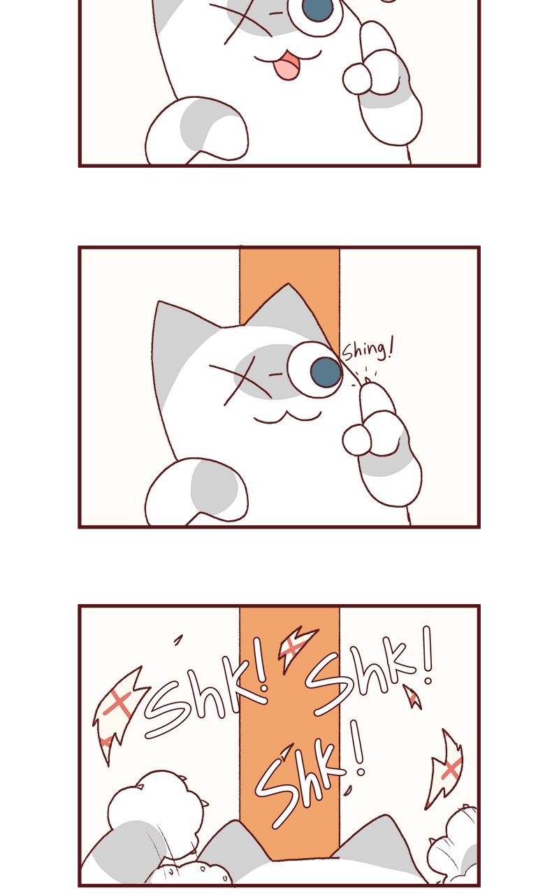 Saphie: The One-Eyed Cat Chapter 170 page 5 - Chapter 170
