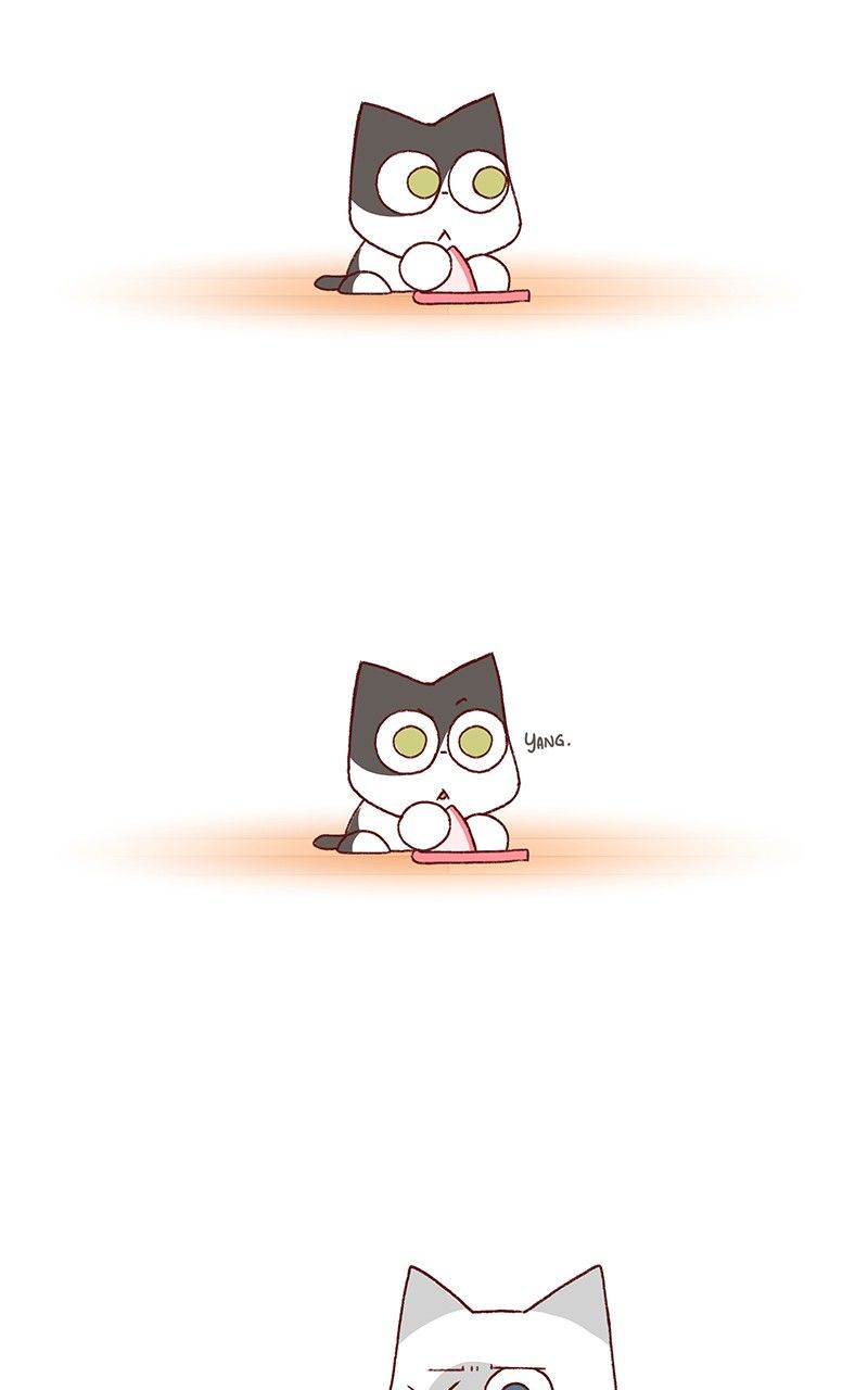 Saphie: The One-Eyed Cat Chapter 172 page 4 - Chapter 172