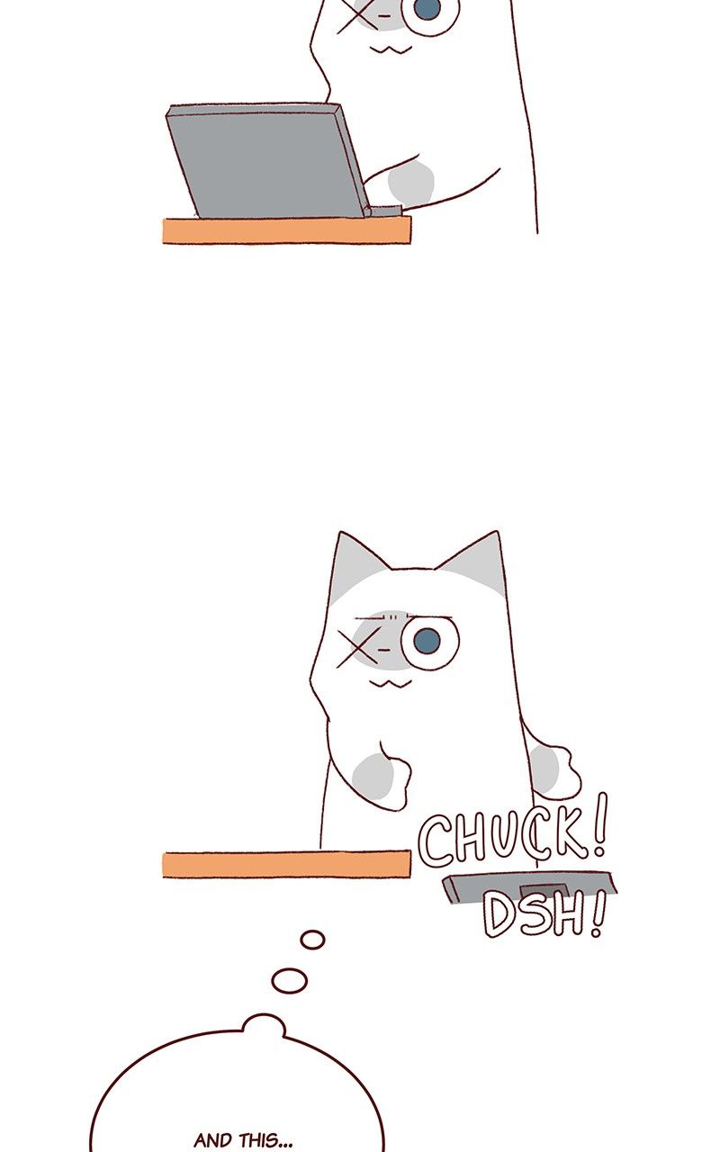 Saphie: The One-Eyed Cat Chapter 172 page 5 - Chapter 172