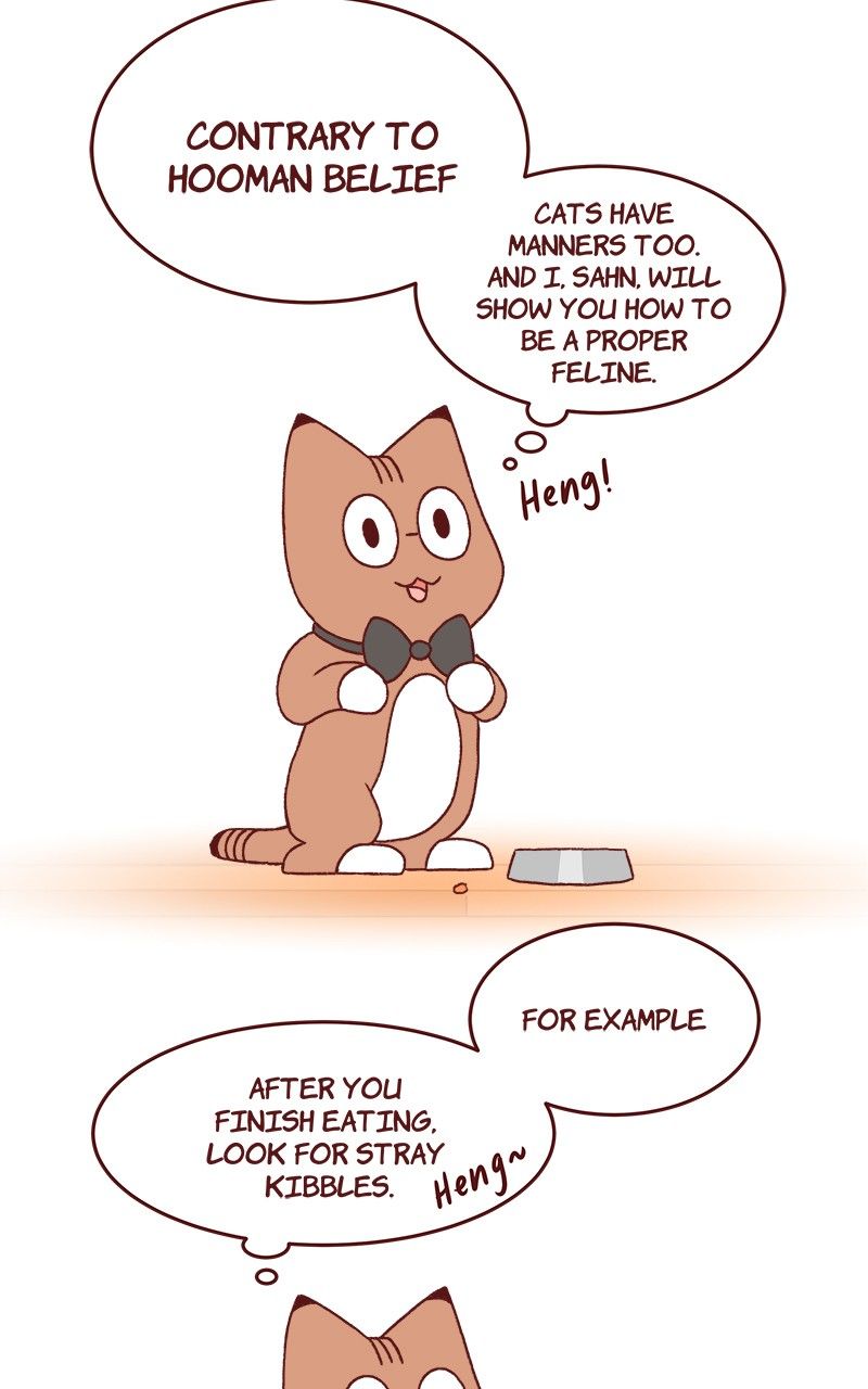 Saphie: The One-Eyed Cat Chapter 173 page 2 - Chapter 173
