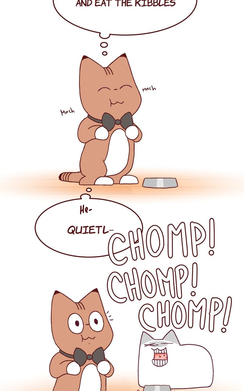 Saphie: The One-Eyed Cat Chapter 173 page 4 - Chapter 173